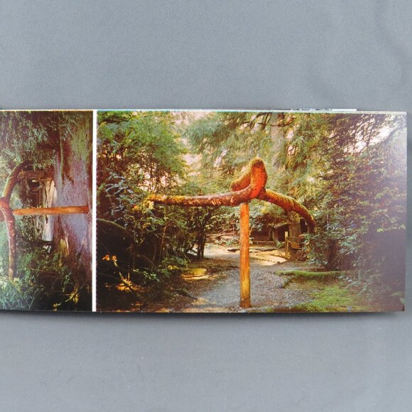 Vintage Postcard set - Trees of Mystery Klamath California 10 Set - E F Clements - Picture 6 of 11